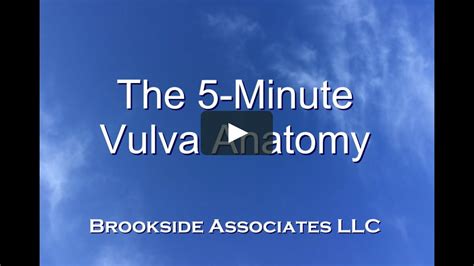 oma vagina|5 Minute Vulva Anatomy Video 